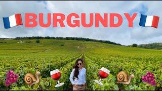 BURGUNDY FRANCE TRAVEL VLOG | amazingkatrinajane