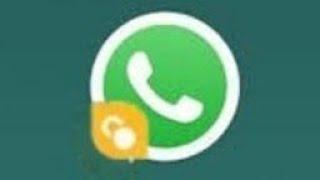 Fallos en WhatsApp dual 2021 error al compartir archivo fallos en la cámara formato no compatible