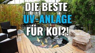 Ist das die beste UV-ANLAGE für deinen KOITEICH?!