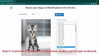 Resize your image to 300x300 pixels online for free Tutorial