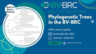 BV-BRC Viral Back to Basics: How to Build Viral Phylogenetic Trees.