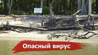 Почему запрещено посещать «Остров Обезьян» | История острова Морган