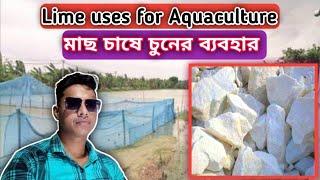 মাছ চাষে চুনের ব্যবহার || Lime uses for Aquaculture || PABITRA DAS Technical Expert