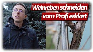 Weinreben schneiden | Rebschnitt einfach erklärt | Pergola statt Spalier