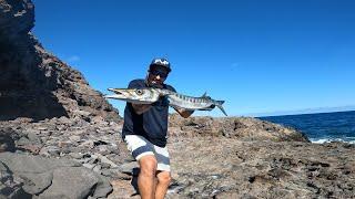 FVF® - Fuerteventura Fishing - Best fight series - BIG BARRACUDA, spinning inshore!