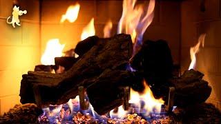 Warm Relaxing Fireplace Sounds - Burning Fireplace & Crackling Fire Sounds (NO MUSIC) 