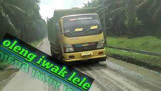 goyang iwak lele##truck oleng mania