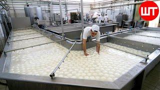 How Fresh Mozzarella Is Made | The Process of Making Cheese From Buffalo Milk  Cheese Factory