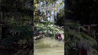 Asyiknya nginep di Royal Safari Garden bikin gamau pulang  tunggu vlog selengkapnya 