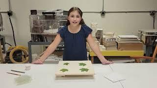 Fusing Leaves in the Kiln