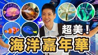 超美海底世界！驚人的魚類變性宮鬥劇！變男變女嬪妃變皇上？蝦蝦的華麗變身！