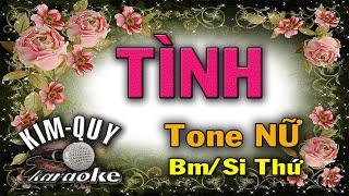 TÌNH - KARAOKE - Tone NỮ ( Bm/Si Thứ )