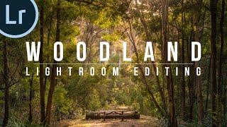 How I edit Woodland Images in Lightroom | Landscape Photography Post-Processing