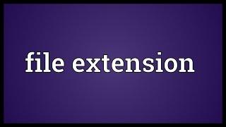 File extension Meaning