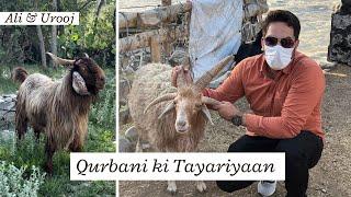 Qurbani ke liye Bakra le Lia | Mandi se kitny ka mila?