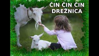 ČIN ČIN ČIN DREŽNICA