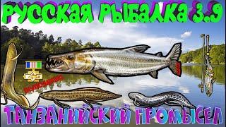 Русская рыбалка 3.9. Танзанийский промысел. ЗАВЕРШЕНИЕ.