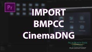 Import Blackmagic Pocket CinemaDNG Raw Files to Premiere Pro