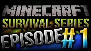 SURVIVING A SERIES? | Minecraft Survival #1