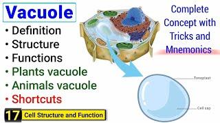 Vacuole structure and function | Complete concept | Peak Lectures