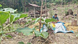 Kami terkejut,ketika ada sosok orang  mengintai di kebun ternyata ini orangnya...