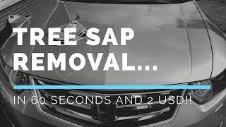 Best Tree Sap removal Car paint in 60 seconds…