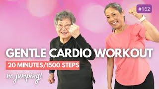 Improve HEART HEALTH At Home : 20 Minute Gentle Workout for Seniors And  Beginners