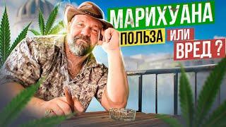 МАРИХУАНА В СПОРТЕ - ВРЕД ИЛИ ПОЛЬЗА?