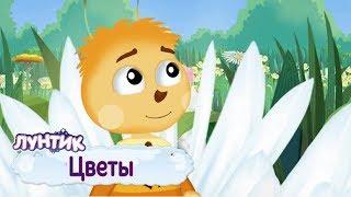 Цветы  Лунтик  Сборник мультфильмов для детей