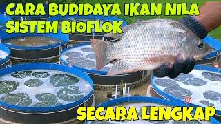 CARA BUDIDAYA IKAN NILA MENGGUNAKAN SISTEM BIOFLOK SECARA LENGKAP