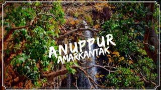 ANUPPUR: AMARKANTAK