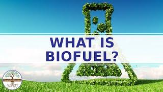 What is Biofuel? - Biomass Science Explainer Video