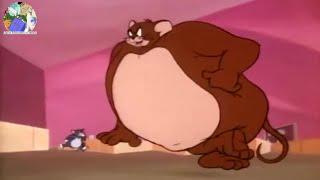 Tom and Jerry GROW HUGE Due to Growth Ray (Jerry GROWS HUGER)