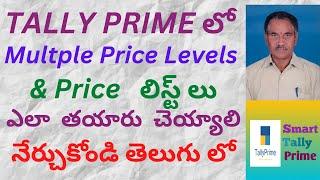 99. How to Prepare Multiple Price Levels & Price Lists and Use them in Tally Prime | TELUGU | STP