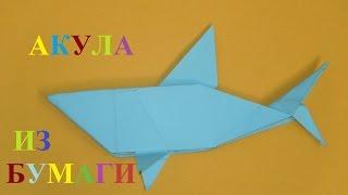 Как сделать акулу из бумаги. Оригами акула из бумаги. Origami shark