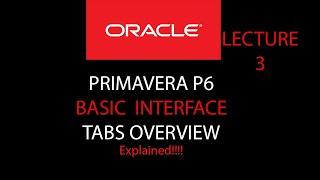 Primavera P6 Basic Interface and Overview- For Begineers  Lesson 3