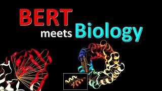 BERTology Meets Biology: Interpreting Attention in Protein Language Models (Paper Explained)