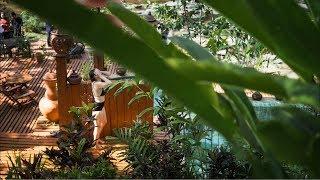 The AMAZING hotel built on a waterfall - Chiang Mai, Thailand