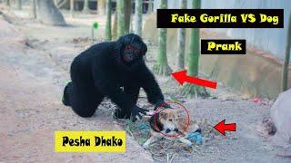 Fake Gorilla Vs Real Dogs Prank! And So Funny In 2020 | TRY TO NOT LAUGH CHALLENGE