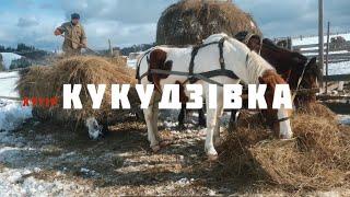 Кукудзівка - унікальний хутір села Гробище, на нерозвіданій Путильщині на Буковині. Гуцулендія