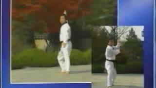 15. Taekwondo Poomsae Cheonkwon (WTF)