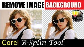 Quickly and Easily Remove Image Background Using Corel Draw