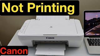 Canon Printer Not Printing !!