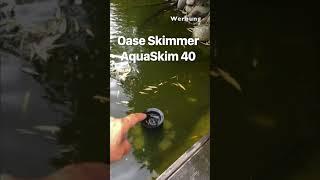 Werbung… Oberfläche richtig absaugen lassen, mit einem Skimmer #koiteich #teichbau #skimmer