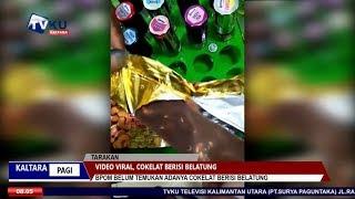 VIDEO VIRAL, COKELAT BERISI BELATUNG