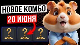 Hamster Kombat - Комбо карты на 21 июня