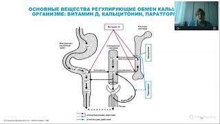 Возможности препаратов кальция для здоровья костей, ногтей и волос.