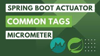 6. Spring Boot Actuator/Micrometer: Assign Tags to Identify the Service's Metrics