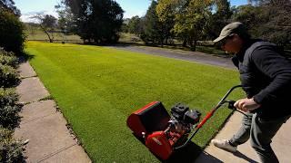A Green Lawn All Year Round // Enhance Iron Fertiliser