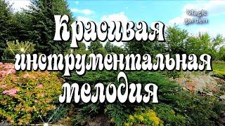 Красивая инструментальная мелодия. Музыка для души